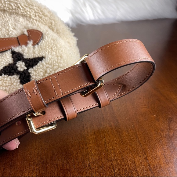 Louis Vuitton Teddy Mono Bumbag - Picture 7 of 14